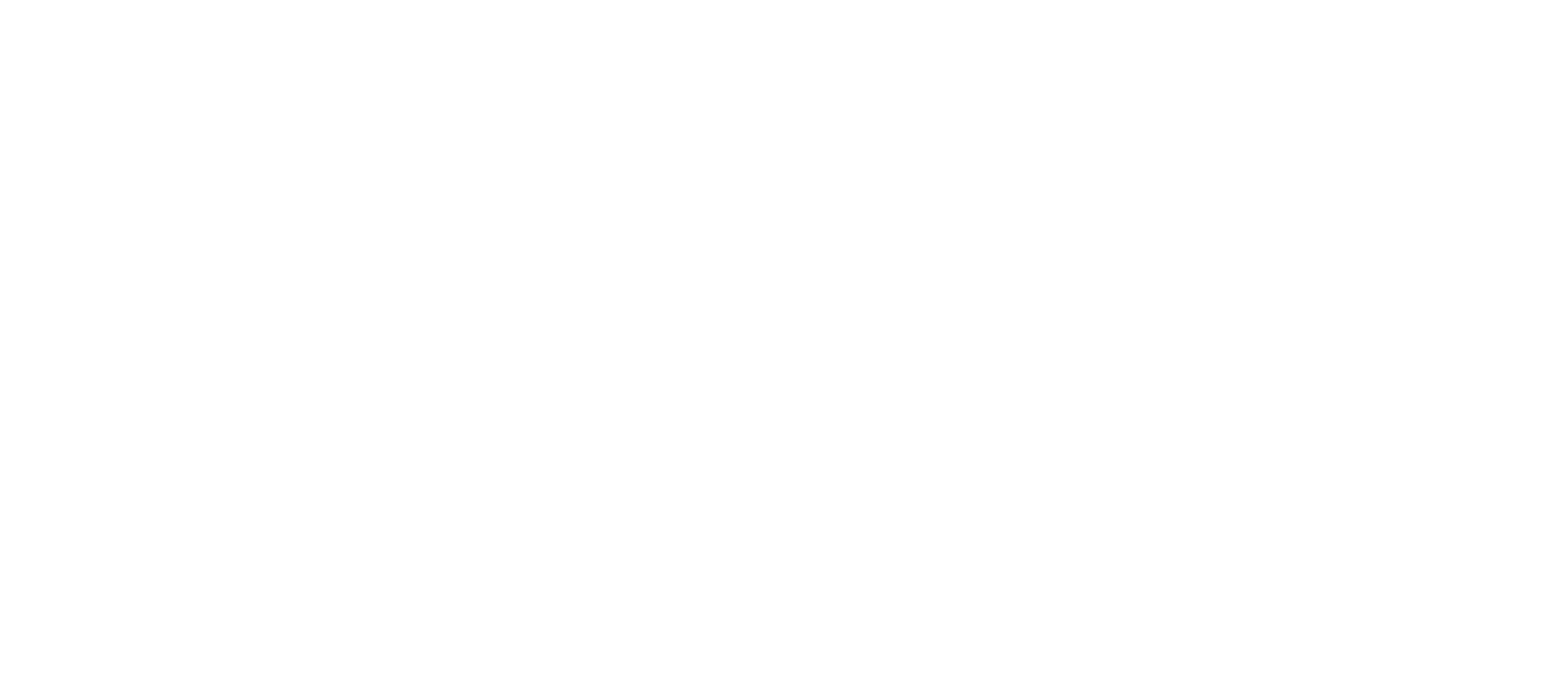 DEF Rijnmondcleaning logo wit 2