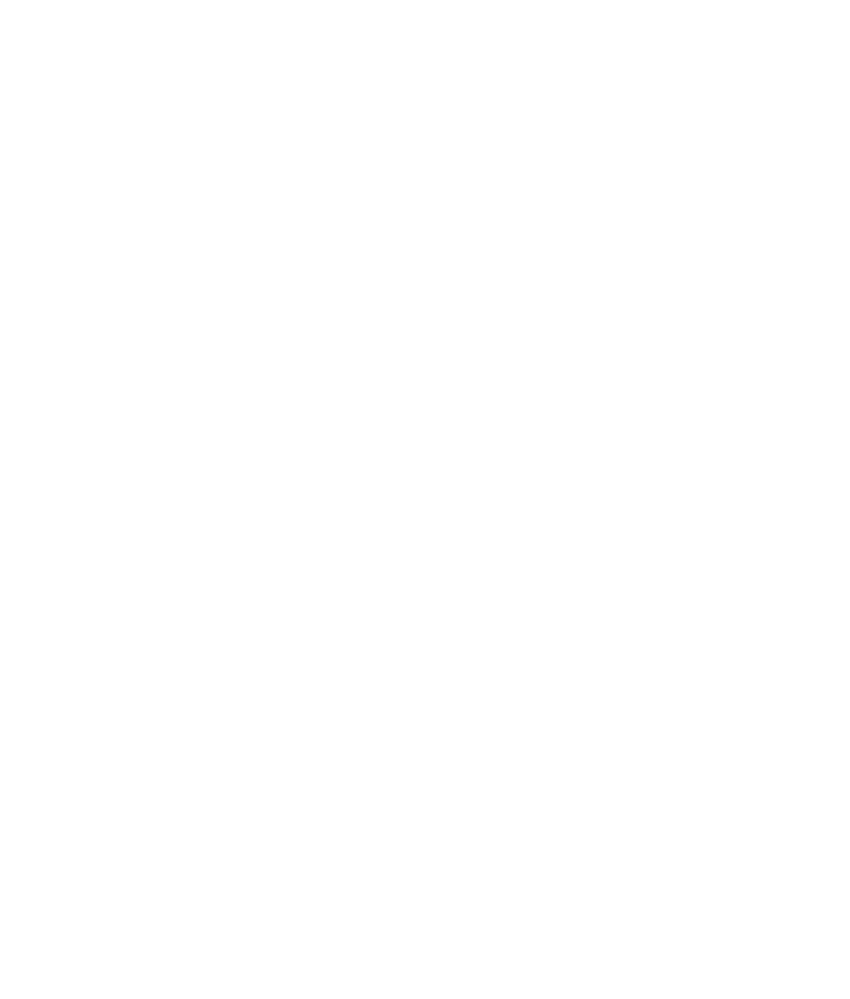 Logo Keurmerk Schoon Large DIAP RGB 767x901